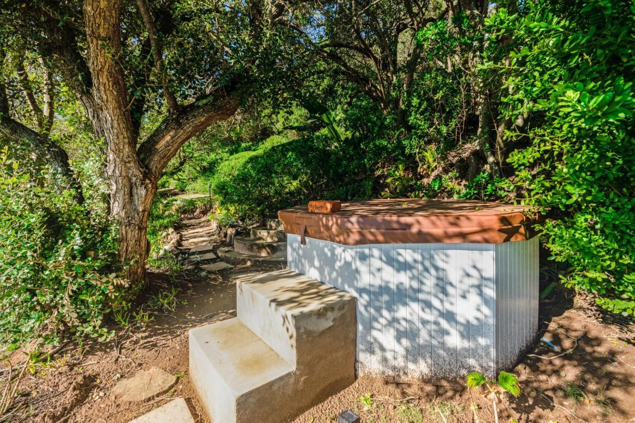 Coney Glen Penthouse Lejlighed Knysna Eksteriør billede
